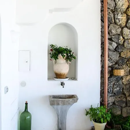 Idris * פראינו